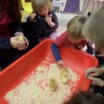 Saying hello to our new born chicks