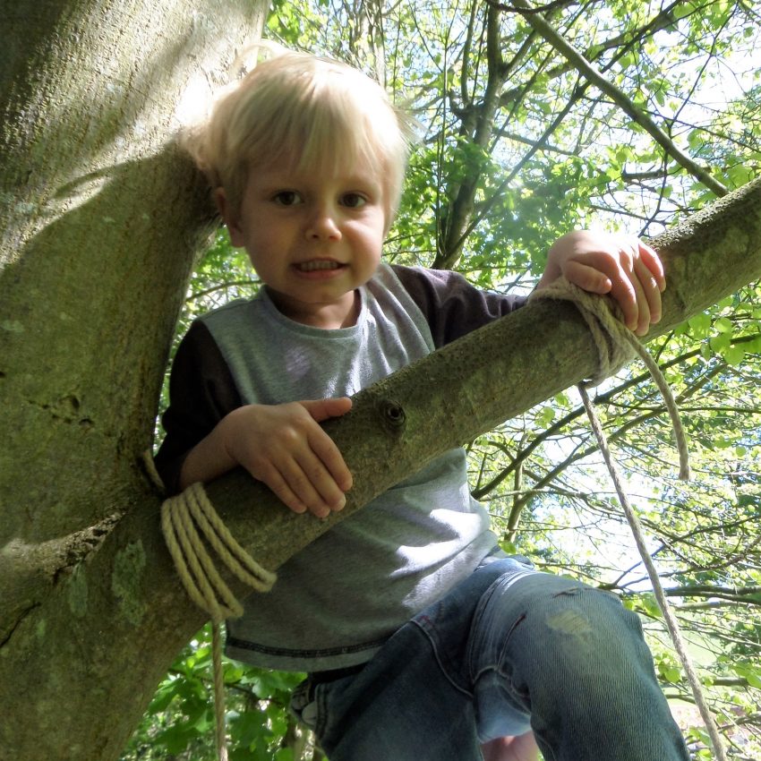 Forest School Tree Climbing