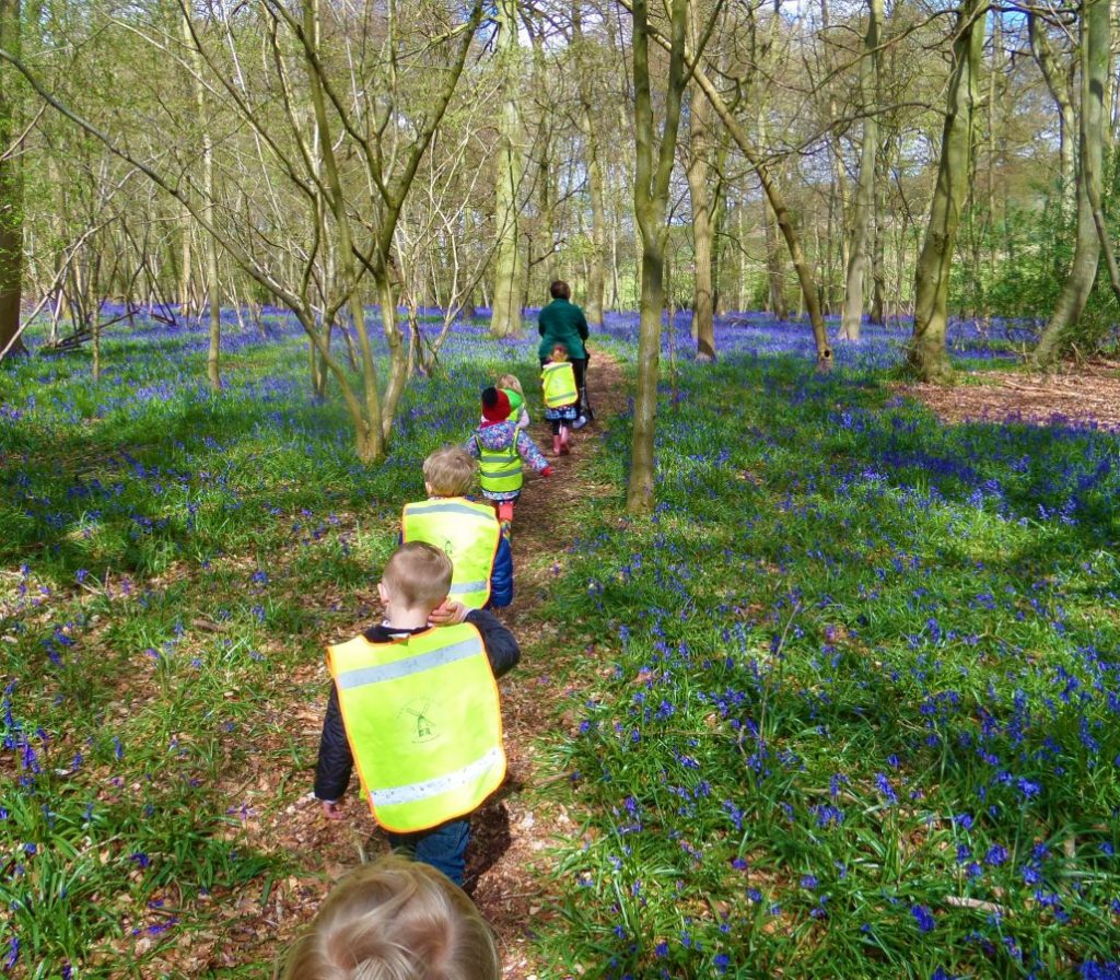 Visiting Bluebell Woods